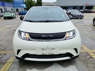 BYD Dolphin 2023 купить из Китая, цена 1 553 000 ₽ — Suifenhe Auto