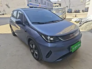 BYD Dolphin 2025 купить из Китая, цена 2 795 000 ₽ — Suifenhe Auto