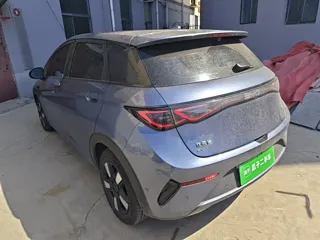 BYD Dolphin 2025 купить из Китая, цена 2 795 000 ₽ — Suifenhe Auto