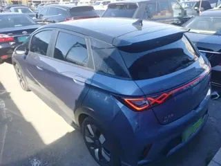 BYD Dolphin 2023 купить из Китая, цена 3 140 000 ₽ — Suifenhe Auto