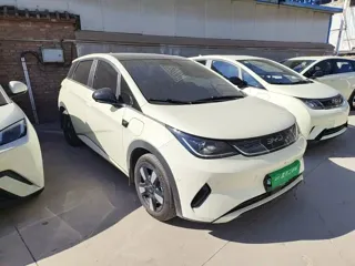 BYD Dolphin 2025 купить из Китая, цена 2 861 000 ₽ — Suifenhe Auto