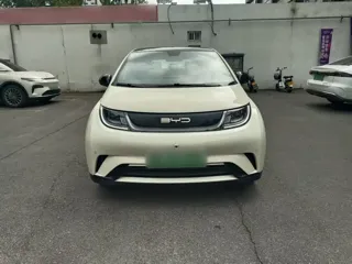 BYD Dolphin 2024 купить из Китая, цена 1 567 000 ₽ — Suifenhe Auto