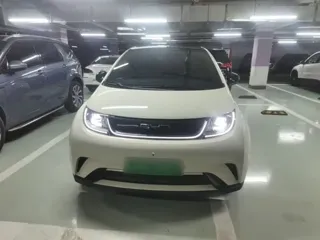 BYD Dolphin 2023 купить из Китая, цена 1 477 000 ₽ — Suifenhe Auto