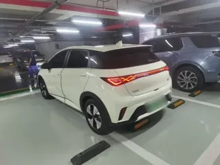 BYD Dolphin 2023 купить из Китая, цена 1 477 000 ₽ — Suifenhe Auto