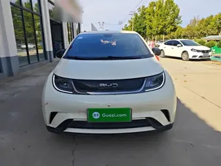 BYD Dolphin 2026 купить из Китая, цена 1 729 000 ₽ — Suifenhe Auto