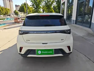 BYD Dolphin 2026 купить из Китая, цена 1 729 000 ₽ — Suifenhe Auto