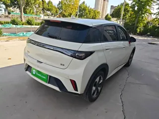 BYD Dolphin 2026 купить из Китая, цена 1 729 000 ₽ — Suifenhe Auto