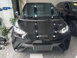 BYD Seagull 2023 купить из Китая, цена 1 246 000 ₽ — Suifenhe Auto