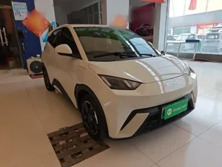BYD Seagull 2024 купить из Китая, цена 1 268 000 ₽ — Suifenhe Auto