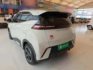 BYD Seagull 2024 купить из Китая, цена 1 268 000 ₽ — Suifenhe Auto