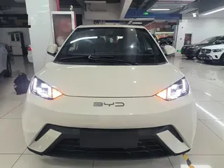 BYD Seagull 2024 купить из Китая, цена 1 334 000 ₽ — Suifenhe Auto
