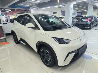 BYD Seagull 2024 купить из Китая, цена 1 334 000 ₽ — Suifenhe Auto