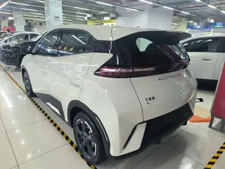 BYD Seagull 2024 купить из Китая, цена 1 334 000 ₽ — Suifenhe Auto