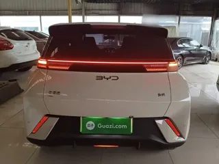 BYD Seagull 2024 купить из Китая, цена 1 316 000 ₽ — Suifenhe Auto