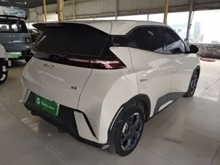 BYD Seagull 2024 купить из Китая, цена 1 316 000 ₽ — Suifenhe Auto