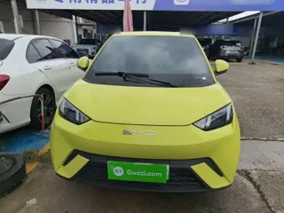 BYD Seagull 2023 купить из Китая, цена 1 325 000 ₽ — Suifenhe Auto