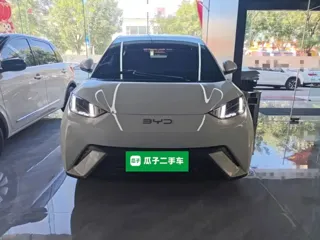 BYD Seagull 2025 купить из Китая, цена 1 536 000 ₽ — Suifenhe Auto