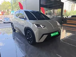 BYD Seagull 2025 купить из Китая, цена 1 536 000 ₽ — Suifenhe Auto