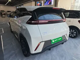 BYD Seagull 2025 купить из Китая, цена 1 536 000 ₽ — Suifenhe Auto