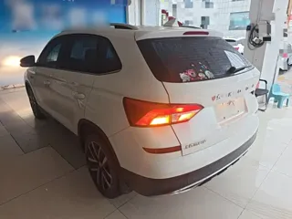 Skoda Kamiq 2020 купить из Китая, цена 1 424 000 ₽ — Suifenhe Auto