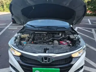Фото 15