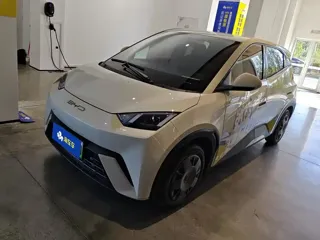 BYD Seagull 2024 купить из Китая, цена 1 232 000 ₽ — Suifenhe Auto