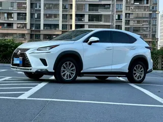 Lexus NX 2021 купить из Китая, цена 3 063 000 ₽ — Suifenhe Auto