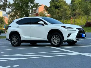 Lexus NX 2021 купить из Китая, цена 3 063 000 ₽ — Suifenhe Auto