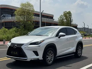 Lexus NX 2021 купить из Китая, цена 2 824 000 ₽ — Suifenhe Auto