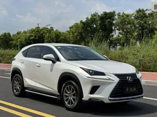 Lexus NX 2021 купить из Китая, цена 2 824 000 ₽ — Suifenhe Auto