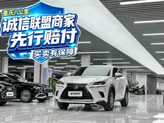 Lexus NX 2020 купить из Китая, цена 2 877 000 ₽ — Suifenhe Auto