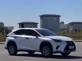 Lexus NX 2020 купить из Китая, цена 2 971 000 ₽ — Suifenhe Auto