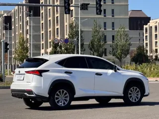 Lexus NX 2020 купить из Китая, цена 2 971 000 ₽ — Suifenhe Auto
