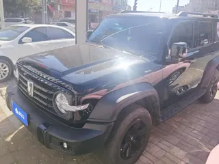 Tank 300 2024 купить из Китая, цена 4 036 000 ₽ — Suifenhe Auto