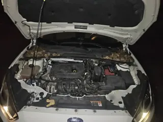 Фото 21