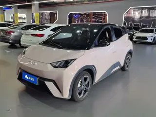 BYD Seagull 2024 купить из Китая, цена 1 416 000 ₽ — Suifenhe Auto