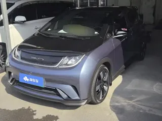 BYD Dolphin 2023 купить из Китая, цена 3 145 000 ₽ — Suifenhe Auto