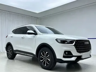 Haval H6 2023 купить из Китая, цена 1 505 000 ₽ — Suifenhe Auto