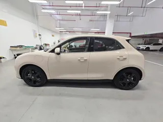ORA Good Cat 2024 купить из Китая, цена 2 781 000 ₽ — Suifenhe Auto