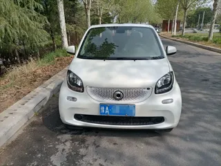 smart fortwo 2019 купить из Китая, цена 1 766 000 ₽ — Suifenhe Auto