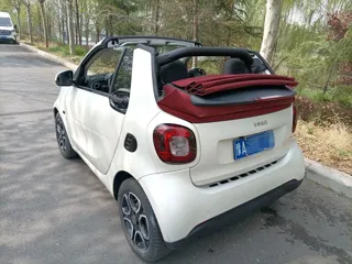smart fortwo 2019 купить из Китая, цена 1 766 000 ₽ — Suifenhe Auto
