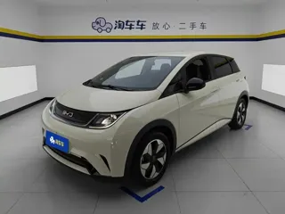 BYD Dolphin 2024 купить из Китая, цена 1 519 000 ₽ — Suifenhe Auto