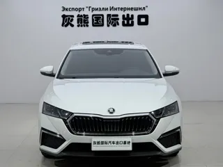 Skoda Octavia 2023 купить из Китая, цена 2 517 000 ₽ — Suifenhe Auto