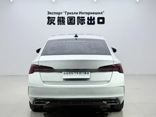 Skoda Octavia 2023 купить из Китая, цена 2 517 000 ₽ — Suifenhe Auto