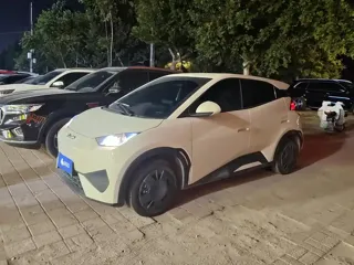 BYD Seagull 2025 купить из Китая, цена 1 314 000 ₽ — Suifenhe Auto