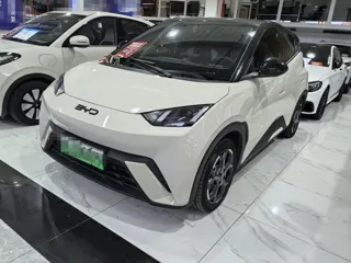 BYD Seagull 2024 купить из Китая, цена 1 381 000 ₽ — Suifenhe Auto