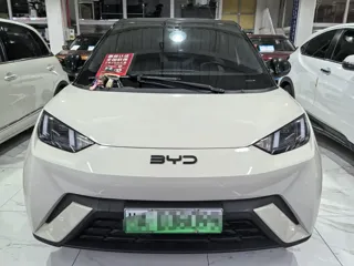 BYD Seagull 2024 купить из Китая, цена 1 381 000 ₽ — Suifenhe Auto