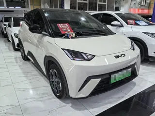 BYD Seagull 2024 купить из Китая, цена 1 381 000 ₽ — Suifenhe Auto