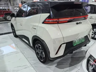 BYD Seagull 2024 купить из Китая, цена 1 381 000 ₽ — Suifenhe Auto