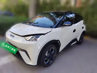 BYD Seagull 2025 купить из Китая, цена 1 437 000 ₽ — Suifenhe Auto
